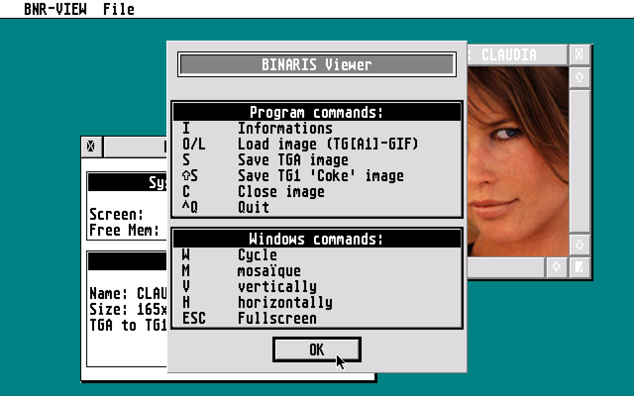 Binaris Viewer atari screenshot